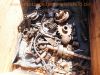 FN_Motor_Getriebe_Ersatz-Teile_engine_gear-box_spares_spare-parts_42.jpg