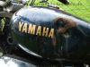 Yamaha_XV535_Virago_2YL_wie_XV_250_535_750_3BR_70.jpg