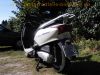 Honda_Lead_110_NHX110_JF19_Roller_Scooter_weiss_PGM-FI_Fuel_Injection_Teile_Ersatzteile_spares_spare-parts_3.jpg