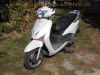 Honda_Lead_110_NHX110_JF19_Roller_Scooter_weiss_PGM-FI_Fuel_Injection_Teile_Ersatzteile_spares_spare-parts_6.jpg