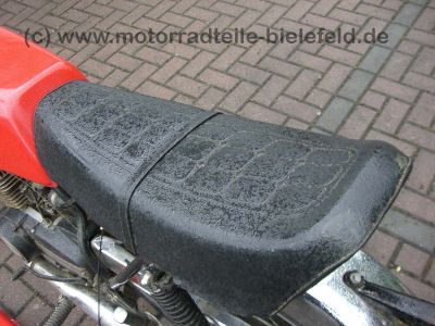 CIMG8963.jpg