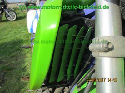 Kawasaki_KLX650C_Hard-Enduro_gruen_1Hd_33kW_EZ93_ausser_Betrieb_2006_USD-Gabel_grosser_Acerbis-Tank_Motor_-101.jpg