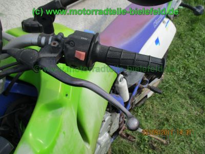 Kawasaki_KLX650C_Hard-Enduro_gruen_1Hd_33kW_EZ93_ausser_Betrieb_2006_USD-Gabel_grosser_Acerbis-Tank_Motor_-55.jpg