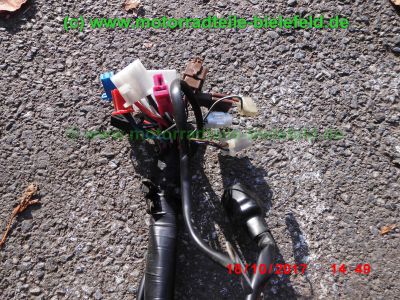 Yamaha_FZS600_Fazer_RJ02_rot_zerlegt_-_Ersatzteile_Teile_parts_spares_spare-parts_ricambi_repuestos_wie_FZ1_FZ6_FZR600R_YZF600R-253.jpg