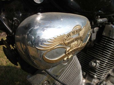 Yamaha_XV_535_Virago_2YL_Gepaecksystem_Gepaecktraeger_Satteltaschenhalter_125_250_750_XV535_51.jpg