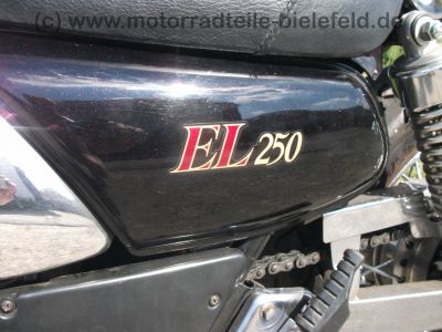 Kawasaki_EL_250_Eliminator_rot-metallic_-_wie_BN_125_EL_252_EN_500_ZL_600_47.jpg