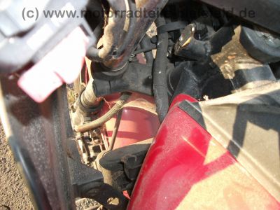 Kawasaki_GPZ_750_UT_rot_KZ_750_A1_A2_ZX_750_A_-_wie_Z_KZ_GPz_LTD_400_550_750_1100_UT_E_A_B_118.jpg