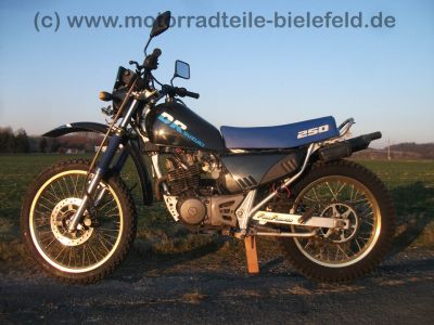 Suzuki_DR_250_S_original_schwarz_SJ42A_-_wie_GN_DR_125_250_400_500_S_SE_SP_370_21.jpg