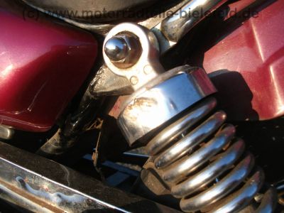 REX_Chopper_125_lila-rot_love_kills_-_wie_REX_Cruiser_Kreidler_Mustang_Kymco_ZING_SMC_SYM_Husky_125_39.jpg