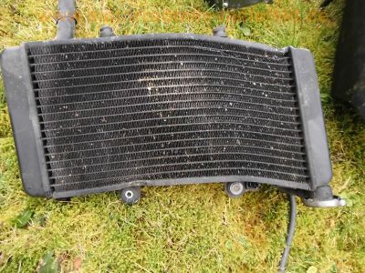 BMW_F_650_ST_Strada_Typ_169_Rotax_grau_Ersatzteile_spare-parts_41.jpg