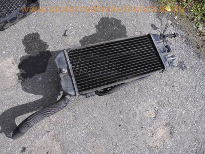 Honda_VT_700_C_RC19_Shadow_Custom_Chopper_-_wie_VT_750_C_RC14_RC29_VT_1100_C_SC18_SC23_46.jpg