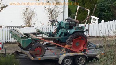 Schneider_Geraetetraeger_GT40_Lombardini-Motor_LDAL673_3-Zylinder_Diesel_mit_Verdeck_wie_GT20_GT27_GT50_Fendt_Deutz_54.jpg