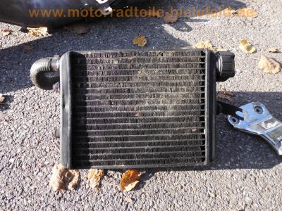 Aprilia_Red_Rose_125_Chopper_zerlegt_Ersatzteile_-_wie_Aprilia_Red_Rose_CLASSIC_50_125_Chopper_59.jpg