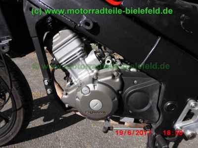 Honda_CBR125R_JC34_rot_Sturz_-_plus_Teile_Ersatzteile_parts_spares_spare-parts_ricambi_repuestos_wie_JC39-270.jpg