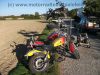 Suzuki_LS_650_Savage_ex-blau_zerlegt_Chopper_1a_gepflegt_-_Basis_Bobber_6.jpg