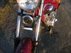 REX_Chopper_125_lila-rot_love_kills_-_wie_REX_Cruiser_Kreidler_Mustang_Kymco_ZING_SMC_SYM_Husky_125_17.jpg