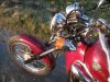 REX_Chopper_125_lila-rot_love_kills_-_wie_REX_Cruiser_Kreidler_Mustang_Kymco_ZING_SMC_SYM_Husky_125_19.jpg