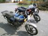 Yamaha_RD_250_LC_4L1_schwarz_-_wie_RD_RZ_TZ_125_250_350_LC_4L0_4L2_4L3_31L_31K_6.jpg
