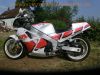 Yamaha_FZR_1000_Genesis_2GH_rot-weiss_-_wie_2LA_2LF_FZ_FZR_600_750_3LE_Exup_2.jpg