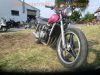 Kawasaki_ZL_600_A_Eliminator_brombeer_Chopper_Cruiser_-_wie_EL_250_252_ZL_900_1000_10.jpg