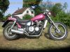 Kawasaki_ZL_600_A_Eliminator_brombeer_Chopper_Cruiser_-_wie_EL_250_252_ZL_900_1000_8.jpg