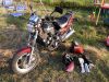 Yamaha_FZX_700_FAZER_1UG_Canada-Modell_Dragster_Muscle-Bike_-_wie_FZ_FZX_750_-_kleine_V-Max_1200_13.jpg