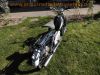 Batavus_bilonet_50_mot-o-mat_Motor_48ccm_Sachs_Saxonette_-_wie_G50_Sport_Tourist_Whippet_6.jpg