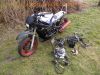 Yamaha_FJ1200_3CW_EZ88_Streetfighter-Projekt_Sturzbuegel_KOSO_-_wie_FJ_1100_47E_1XJ_3YA_6.jpg