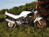 Suzuki_GS_500_E_GM51B_weiss_46PS_34kW_Stahlflex_SEBRING_Evolution_Sport-Auspuff_1.jpg