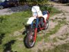 KTM_500_GS_500GS_Typ_506_ROTAX_Gelaendesport-Oldtimer_BJ_1983_SEBRING_Auspuff_e4_T8_fahrtwindgekuehlter_Einzylinder-Viertakt_Rotax-Motor_-_wie_MX_MC_Typ_504_Rotax_350_560_4.jpg
