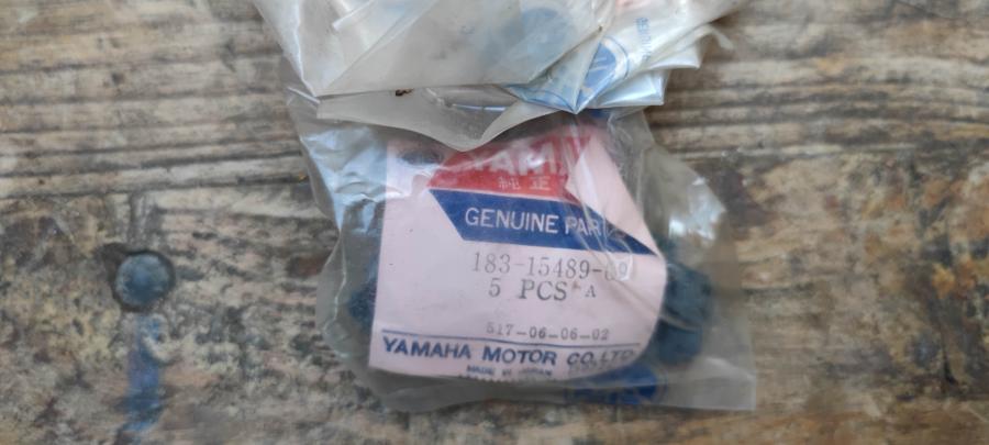 183-15489 AS1 Motor-Clip