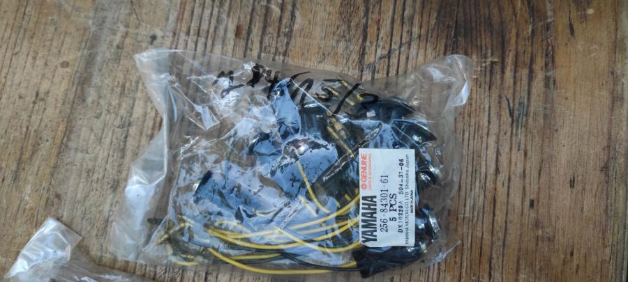 256-84301 pilot lamp Kontroll-Leuchte AT1B-C-E AT2 AT3 CS3B-C CS5 CT1C xyz
