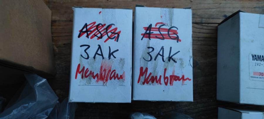 3ak TZ125 TZ250 Mebran valve