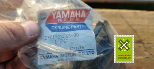 IMG_20230910_183440