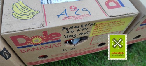 IMG_20230911_160647
