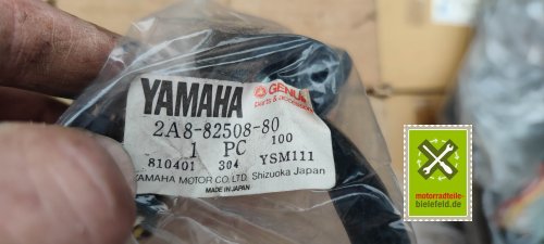 IMG_20230913_181956