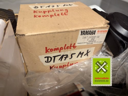PXL_20240708_110544744