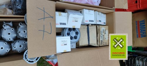 IMG_20230910_162841