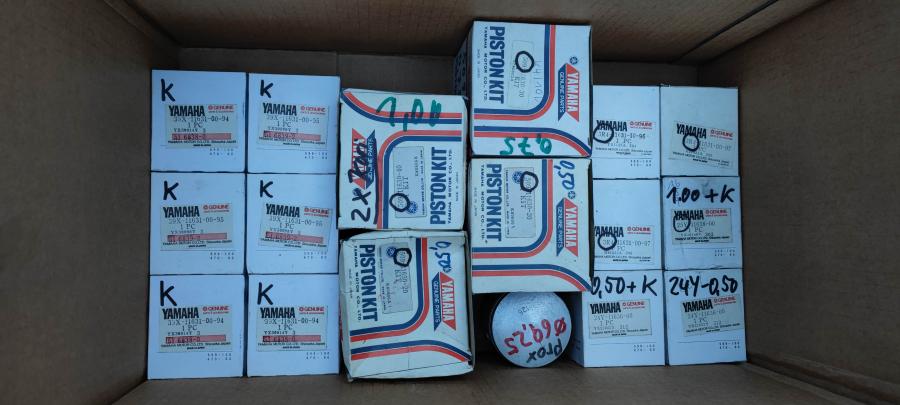 A81 Kolben pistons