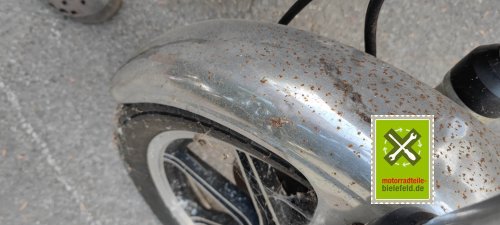 IMG_20230829_175251