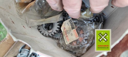 IMG_20230913_163041