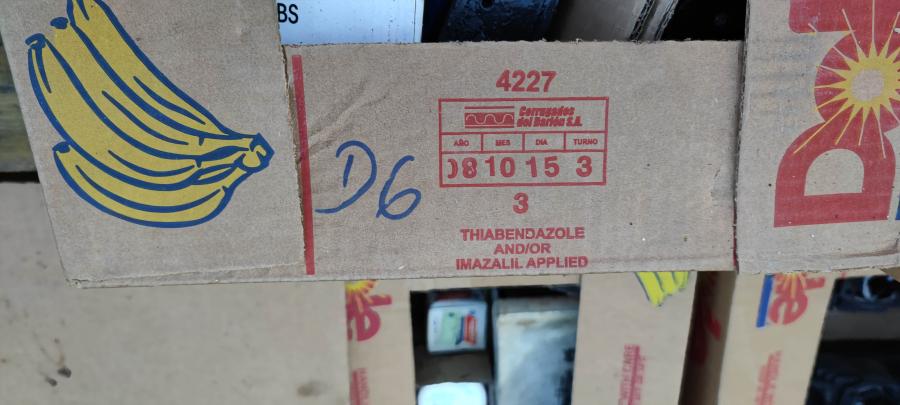 D6