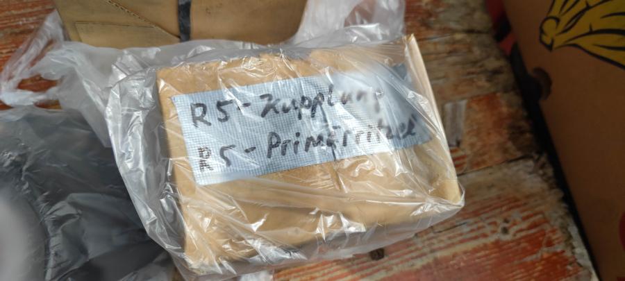 DS7 R5 Kupplung Primaer-Ritzel clutch primary-sprocket