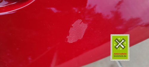 IMG_20230822_192659