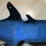 WP 20160516 12 22 18 Pro