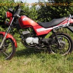 Honda MCX 80 S HC05 rot Chopper original wie MT5 MT8 MB5 MB8 MB MT MTX MBX 50 80 C HD06 HC01 HC02 HC03 HC04 1