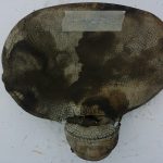 WITTKOP Motorrad Sattel Sozius 1