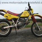 Honda XR 250 R ME05 Stunt BSM Auspuff wie XR XL 200 250 350 500 600 650 R L 69
