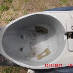 TGB Pegasus Sky 50 Roller Scooter 15