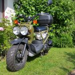 Honda NPS50 ZOOMER 50 3